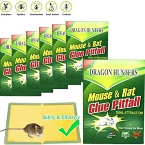 Expert Catch Mouse & Rat Glue Catch Trap