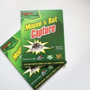 Expert Catch Mouse & Rat Glue Catch Trap