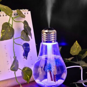 Bulb Humidifier / Aroma Diffuser / Air Purifier ( With Colorful Changing Lights )